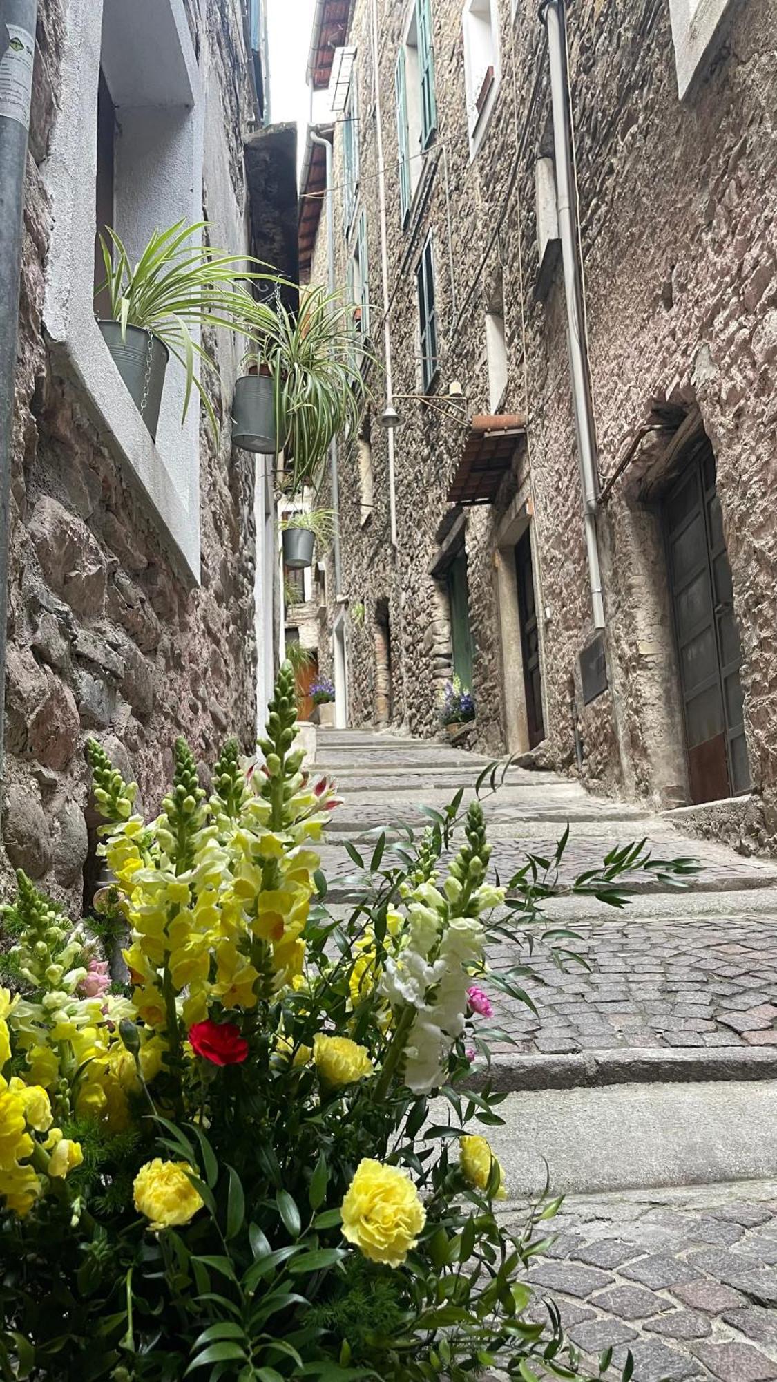 Le Bijou di Dolceacqua, per un momento memorabile. Lejlighed Eksteriør billede